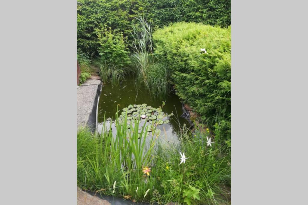 Haus Russold - Fewo22 In Entspannter Atmosphaere - Gruener See Oberort Bagian luar foto